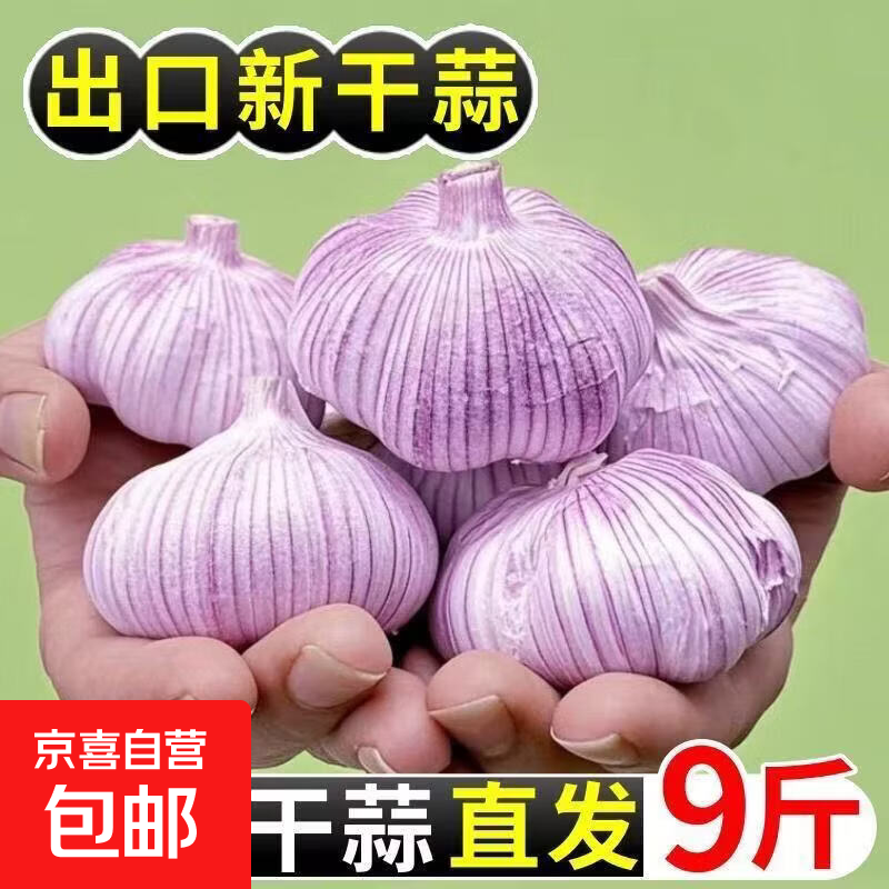 2026今年金乡干大蒜精品大蒜产地直发调味料蒜瓣单果4.0-4.5cm 【优选】1斤 4.0-4.5公分500g