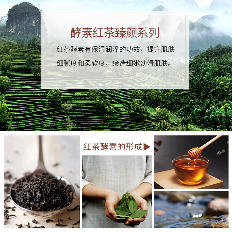 嘉媚乐(CAMENAE) 酵素红茶组合套装面部护肤洁面水乳液面霜精华液 酵素红茶紧致精华眼霜20g