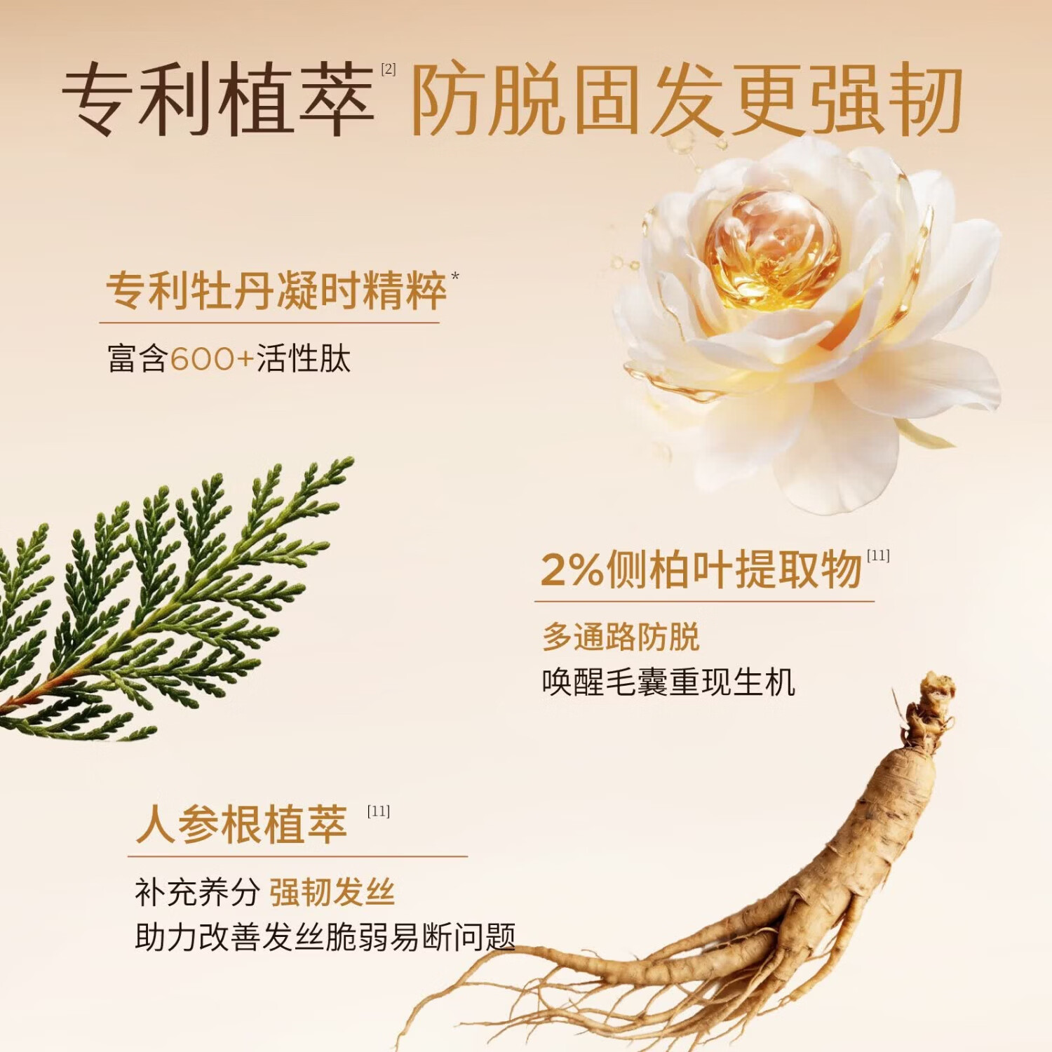 半亩花田（Little Dream Garden）防脱洗发水强韧固发控油蓬松洗发皂300g 【持证防脱】300g