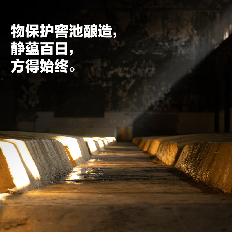 国之(GUOZHI)国之头曲/特曲 浓香型白酒 纯粮酒 国标优级 自饮送礼 52度 500mL 6瓶 头曲 整箱装