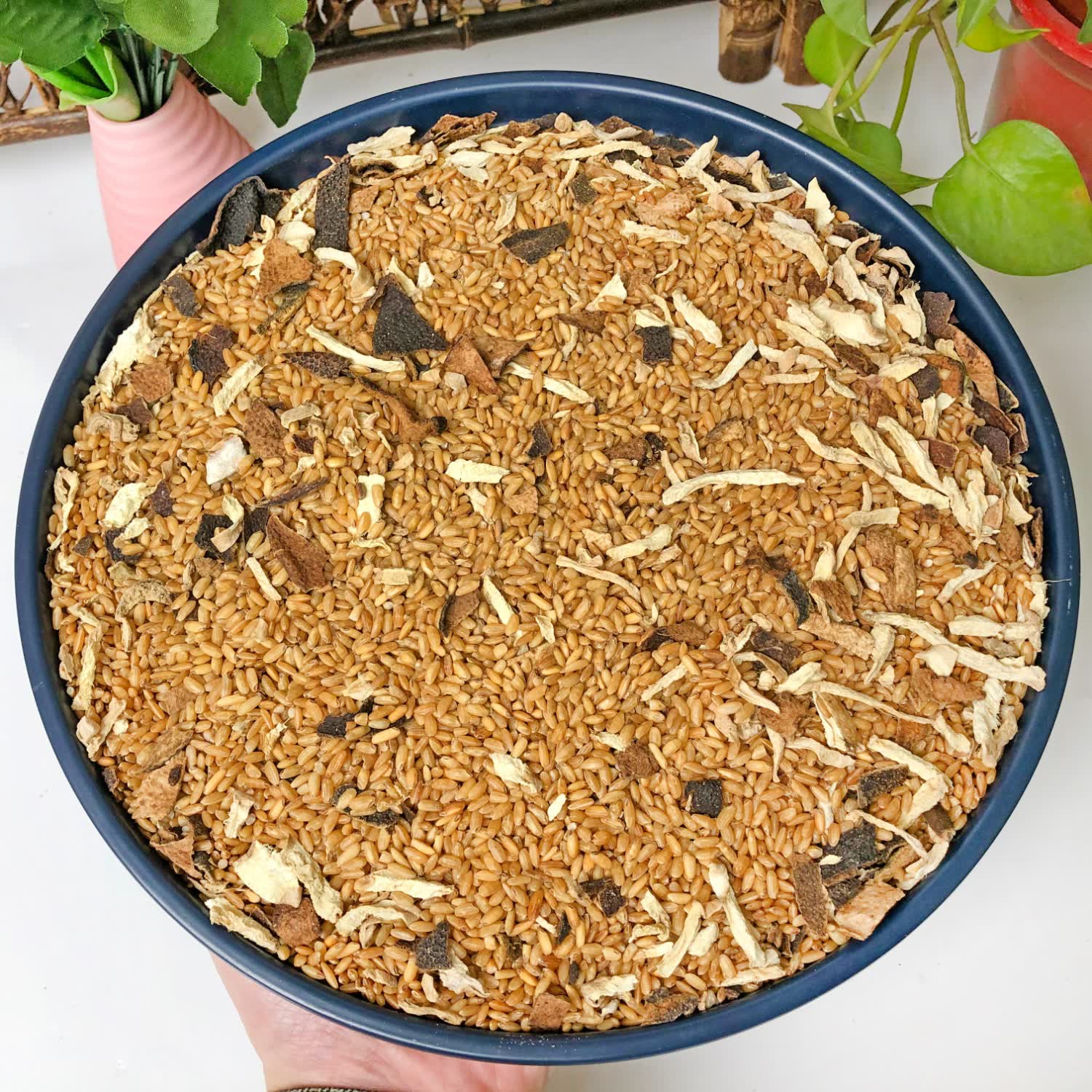 滋佳尚養【送试用款】炒米茶祛湿茶焦米姜枣茶养生茶三伏茶 陈皮茯苓黄芪 【瓶装】陈皮姜炒米茶- 500克*1瓶 十年新会陈皮