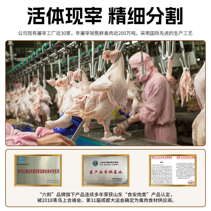 六和大号鸡翅中 冷冻生鲜鸡肉鸡中翅烤翅炸鸡烧烤 鸡翅中6斤