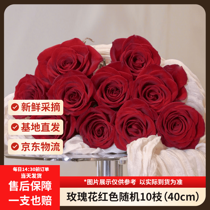 京东鲜花玫瑰花红色玫瑰10枝如意基地鲜切花水养插花生活花束送礼源头直发
