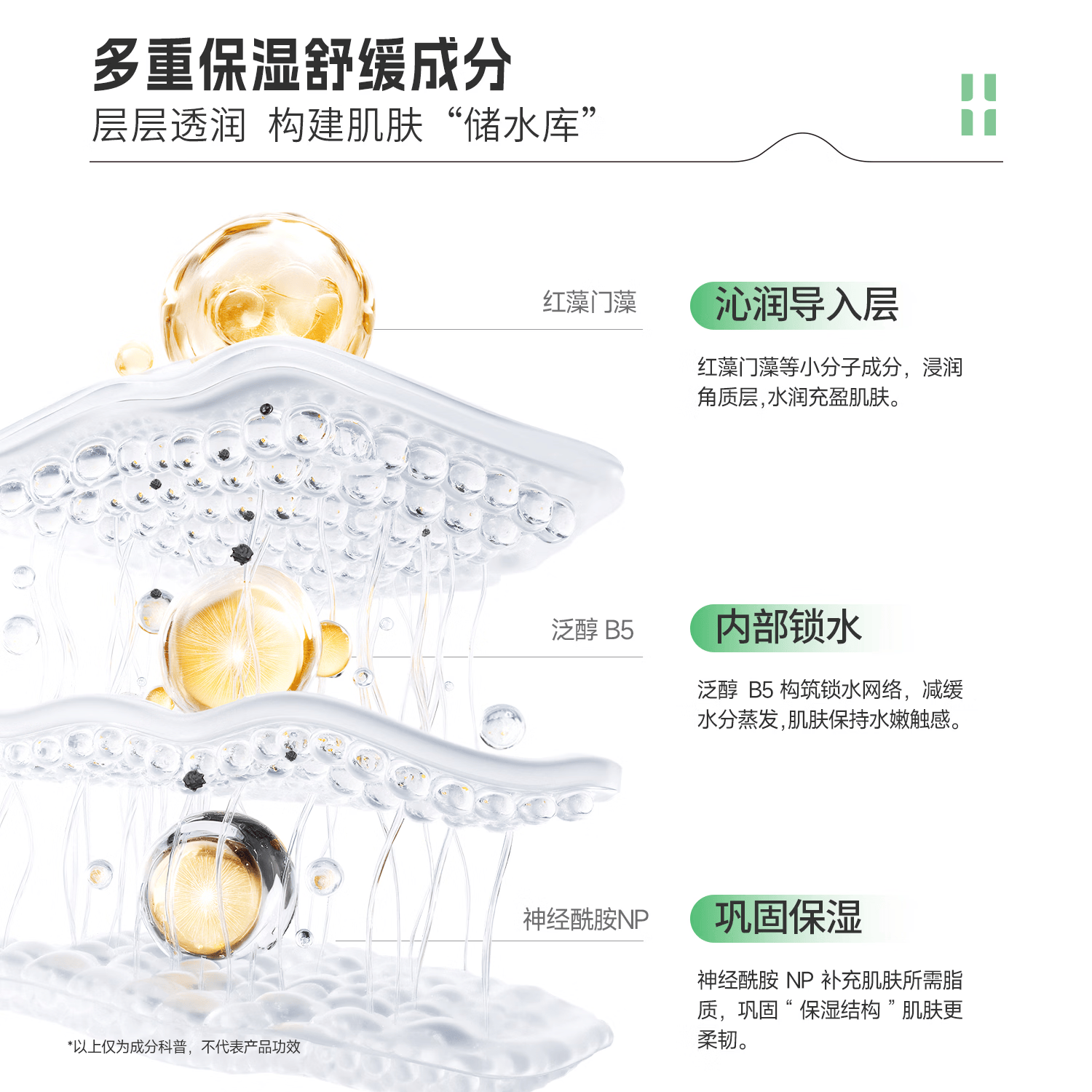 自然攻略依克多因舒缓保湿精华水舒肤基底水润肤生日礼物 1瓶