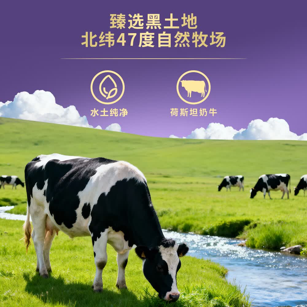 太子乐(Taizile)北纬乐儿较大婴儿配方奶粉 2段800g/罐【新客首罐赠1罐400g】 2段 【新客首罐1赠1罐400g】 800g 1罐