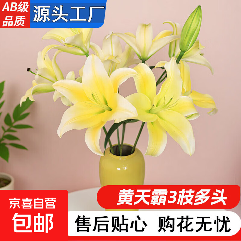 黑心向日葵鲜花云南基地直发水养鲜切花中考高考升职花束一举夺魁 高品质【黄天霸百合3枝多头】12-16个花苞