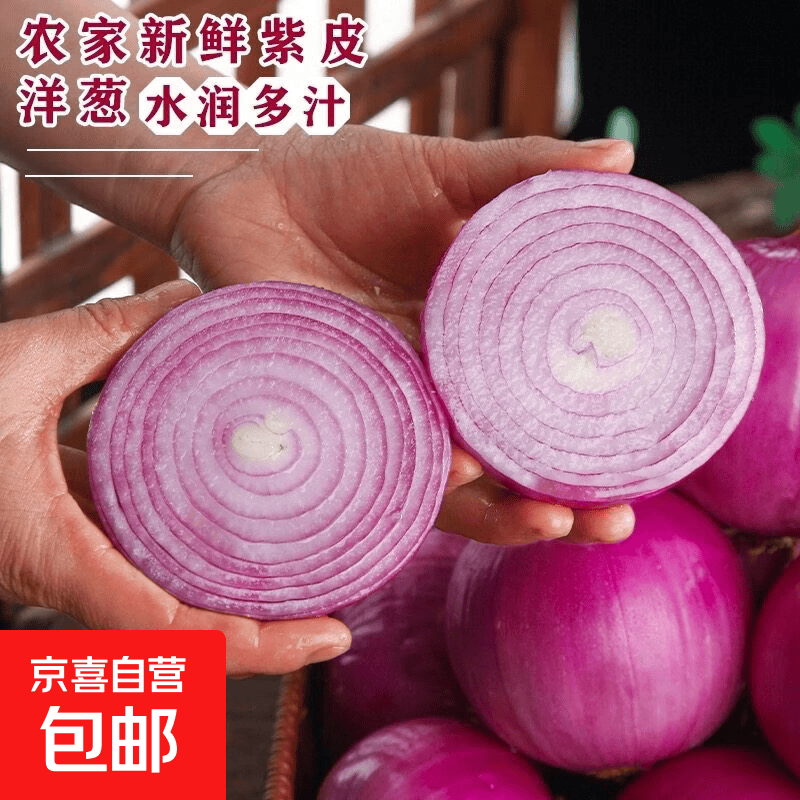 2026当季农家自种新鲜紫皮洋葱现挖新鲜蔬菜洋葱洋葱头脆甜 1斤