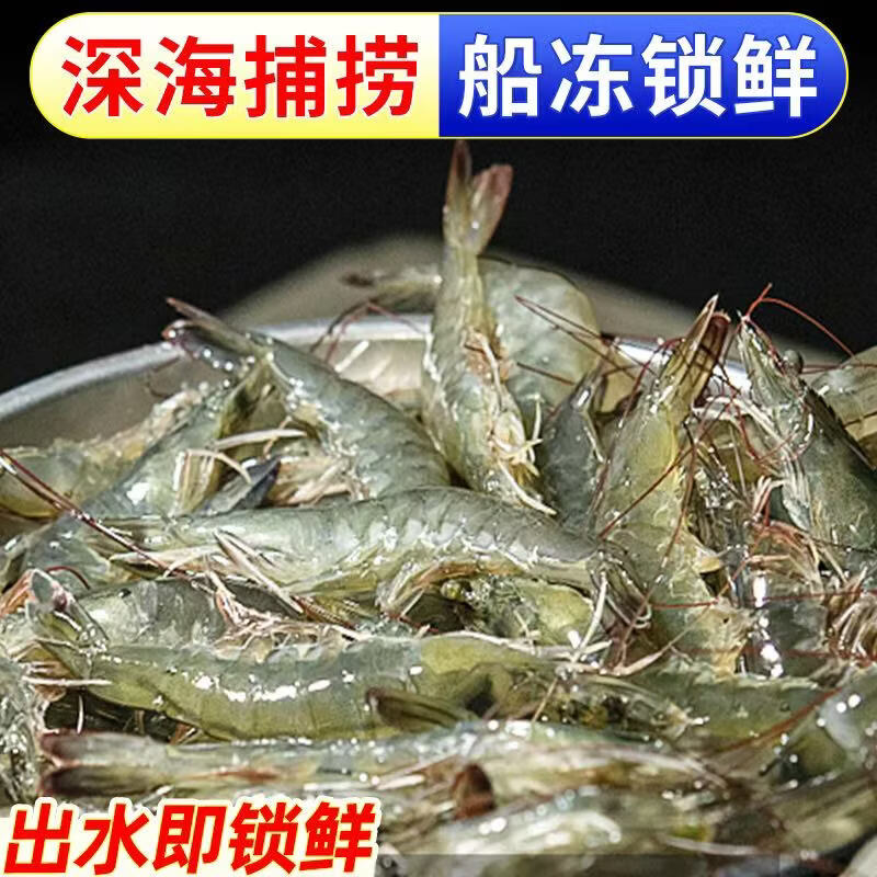 九英里厄瓜多尔白虾20/30特大号鲜活冷冻大虾净重4斤原装进口源头直发 盐冻大虾 16-20cm 3斤(净重)无冰款 1500g(净重)