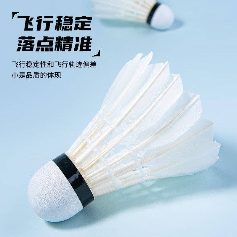 匹克羽毛球鹅毛球耐打口粮球飞行稳定专业训练比赛专用球E系列10只装 E系列-鹅毛10只装 1筒