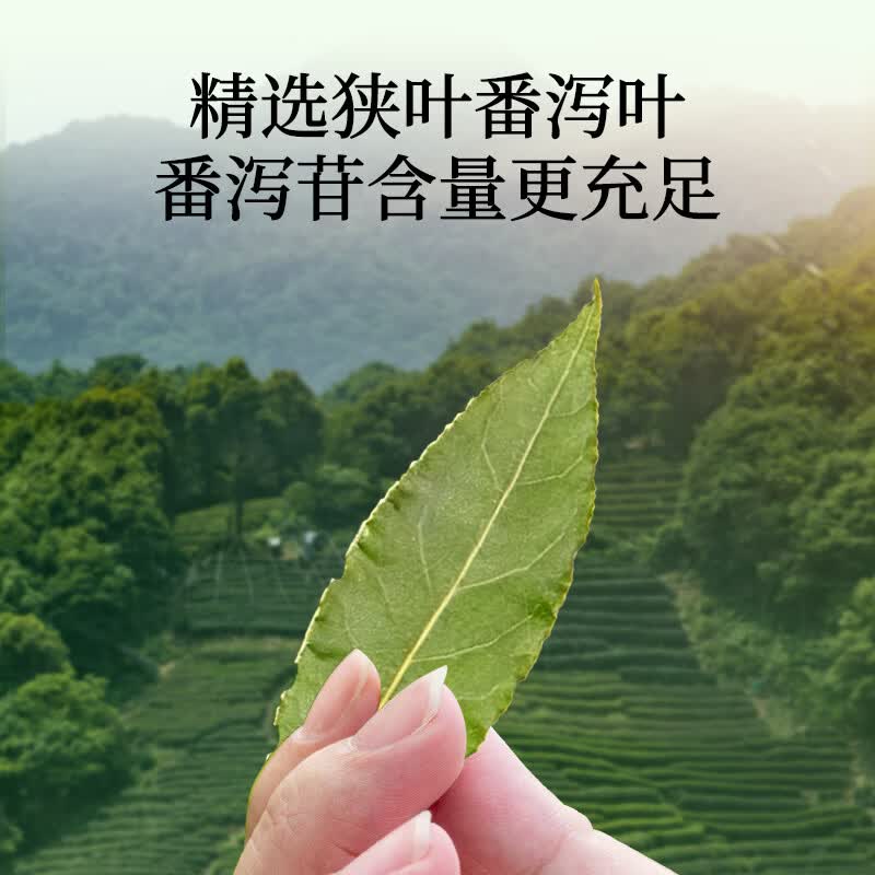 补养堂番泻叶茶包 通便秘茶刮清润肠油减肥瘦身排毒新货泡水养生茶叶片 【买二送一】 15袋*3包 【共计45袋】 野生番泻叶【原材料-印度】