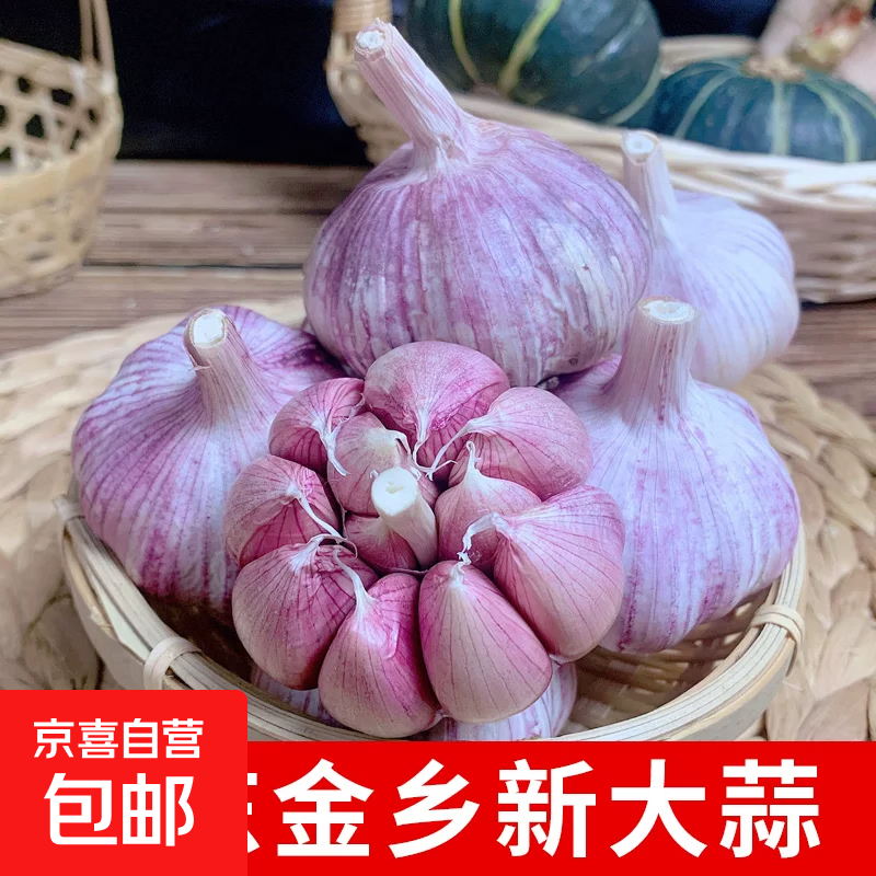 当季新大蒜薄皮干蒜新干蒜紫白皮蒜农家日晒大果天然非独头蒜自种 【精品大蒜4.5公分】6头