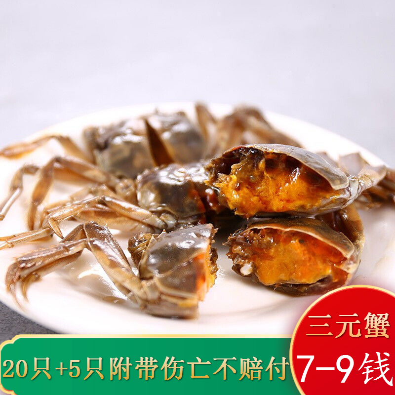 【顺丰快递】小螃蟹鲜活大闸蟹活体稻田蟹河蟹  生鲜蟹类 三元蟹母20