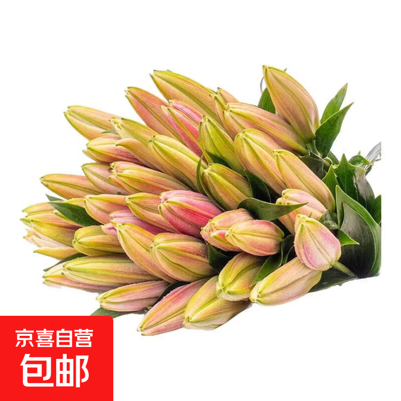 玫瑰百合向日葵云南鲜花生活鲜花昆明鲜花花束源头直发鲜花速递2 粉色百合10朵（3-4枝）