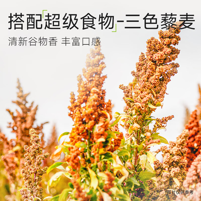 叮叮懒人菜双蛋白藜麦鸡排100g 营养早餐 高蛋白升级健身儿童早餐 【囤货推荐】双蛋白藜麦鸡排12袋+赠送同款6袋