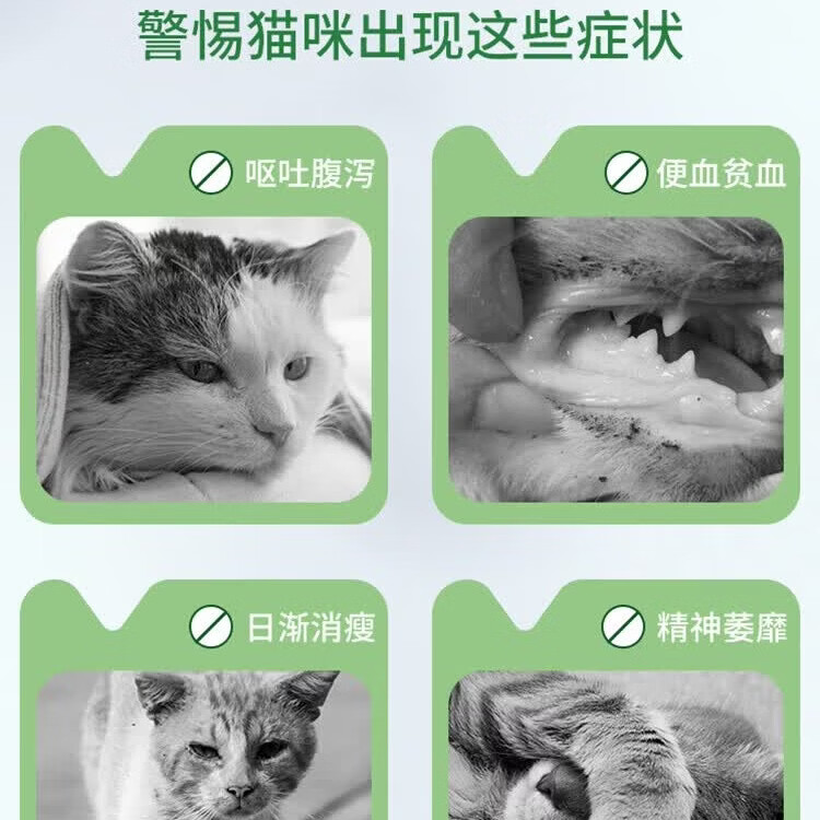 拜宠清猫咪口服体内驱虫药宠物成幼猫拜耳除蛔虫绦虫德国进口 拜宠清猫用 2粒*1盒