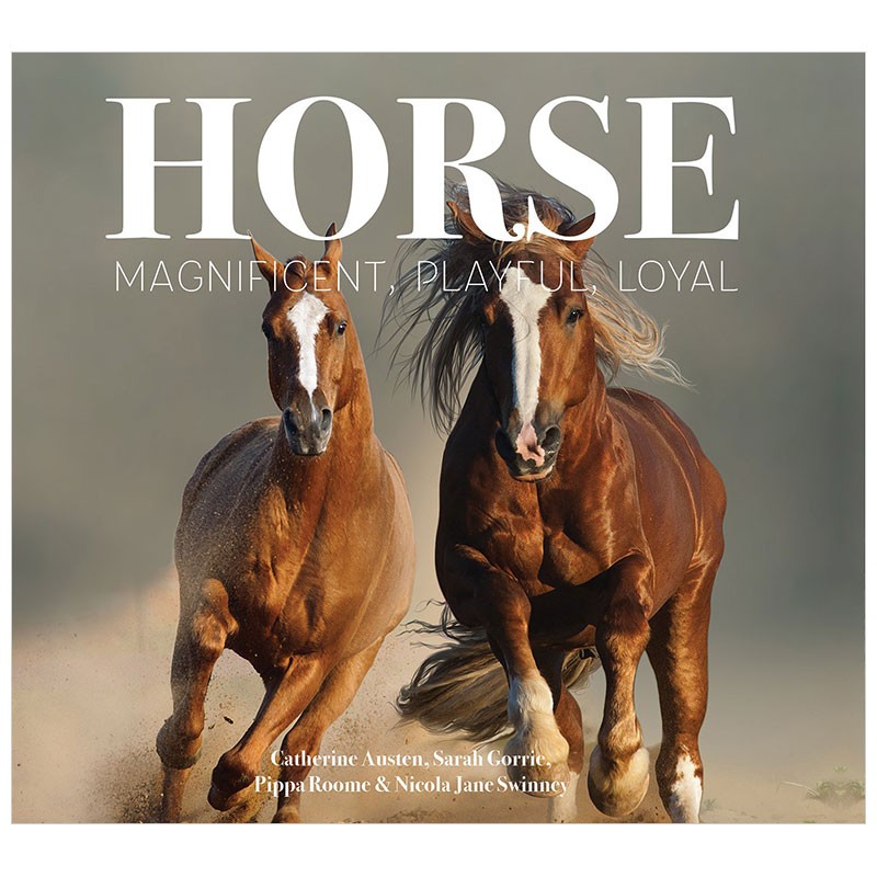 【现货】horse 马 英文原版动物图鉴善本图书