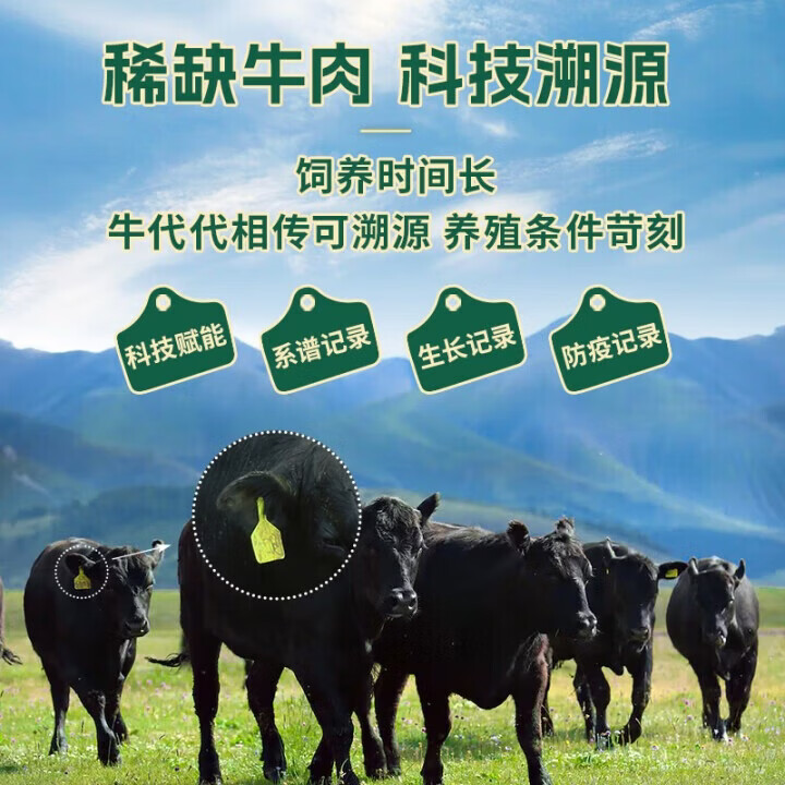 天莱香牛 原切肥牛肉卷 涮火锅食材 OFDC有机认证 新疆 全产业链 【CP装】有机牛肉卷900g