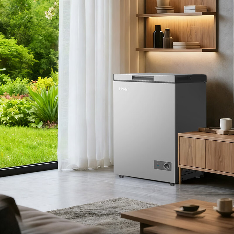 海尔（Haier）100升-30℃智控减霜PCM内胆小冰柜家用冷藏柜冷冻柜冰柜小冰箱BC/BD-100GHPSKD 月光银 100L 减霜PCM内胆