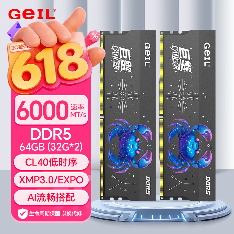 geil/��� ��з DDR5 6000MHz �ڴ��� 32G��2 3779.06Ԫ