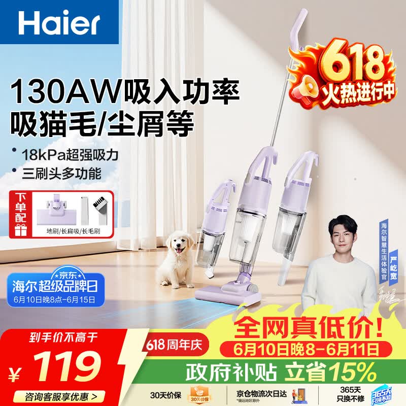 海尔（Haier）吸尘器【价保618】家用 有线手持推杆二合一 大功率大吸力 轻量车辆清洁 宠物毛发清洁HSC-S802A