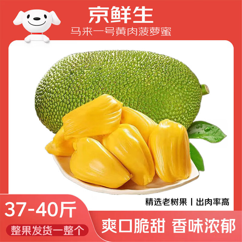 京鲜生海南黄肉菠萝蜜37-40斤净重37斤+ 一整个大新鲜水果生鲜源头直发