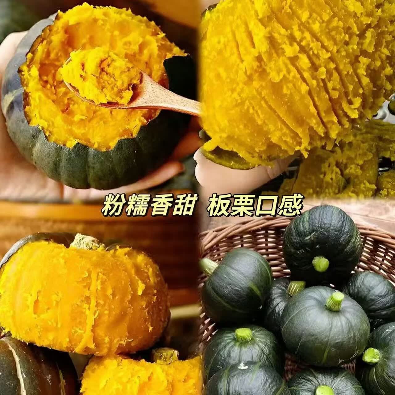 林大馋正宗贝贝南瓜板栗味新鲜日期宝宝辅食粉糯香甜小南瓜新鲜蔬菜代餐 【真贝贝 蒸不水】净 4.5斤 【 精品单果250g+ 饱满不瘪】
