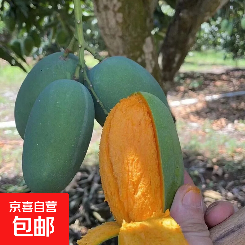 甜心芒带箱5斤 10.9元，青皮甜心芒净重9斤 18.9元 - 86线报