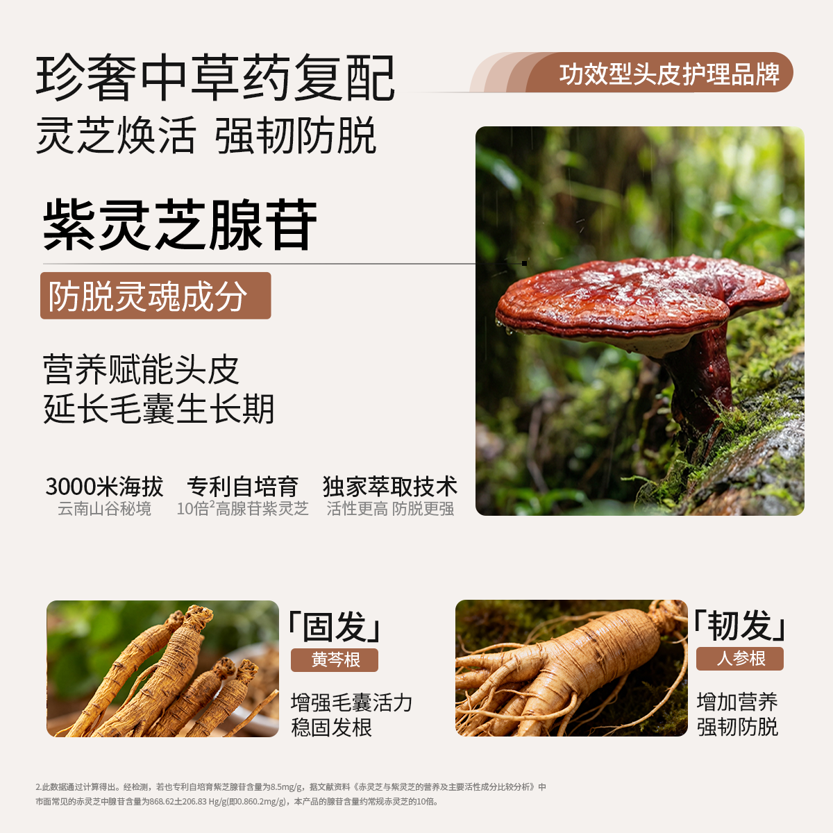 roye灵芝防脱洗发水防断固发赋能洗发液无硅油焕活毛囊丰盈强韧洗发露 【持证防脱 灵芝萃取】防脱洗发液208ml