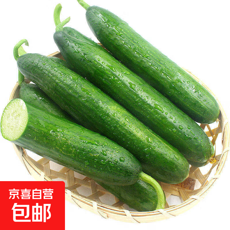 【东东农场专供】水果小黄瓜新鲜爽口|京东快递更快更好 水果黄瓜 3斤 净重2.7斤 水果黄瓜