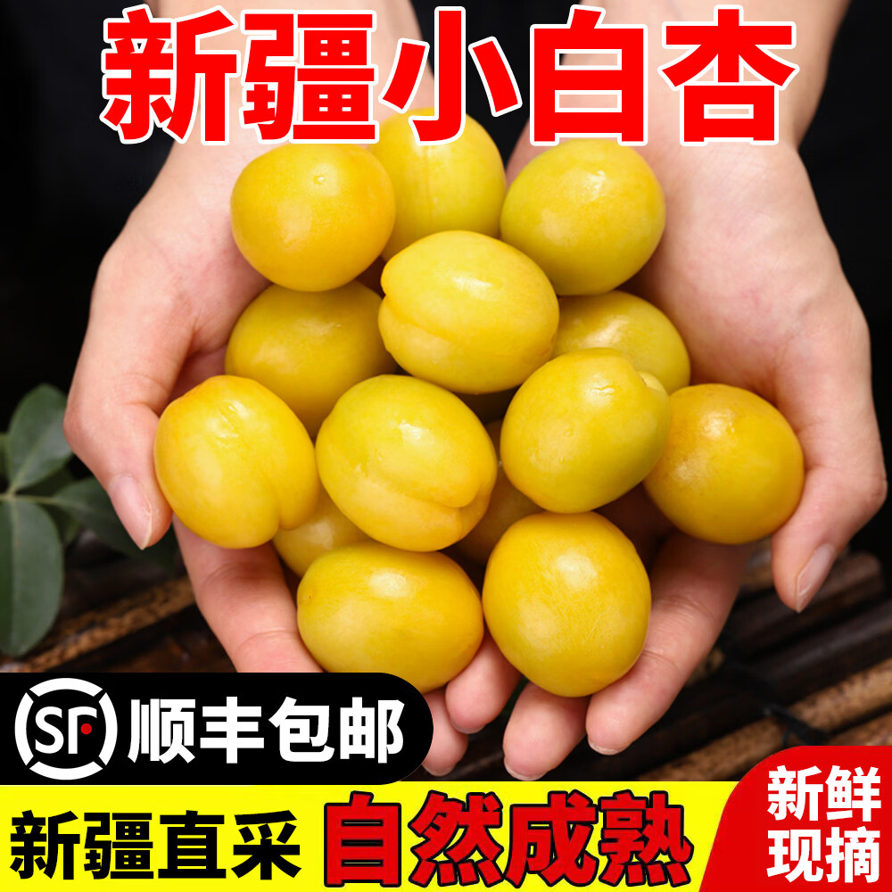 正宗新疆轮台小白杏子新鲜水果现摘纯甜库车小白杏子 3斤装单果12g+【超值推荐】