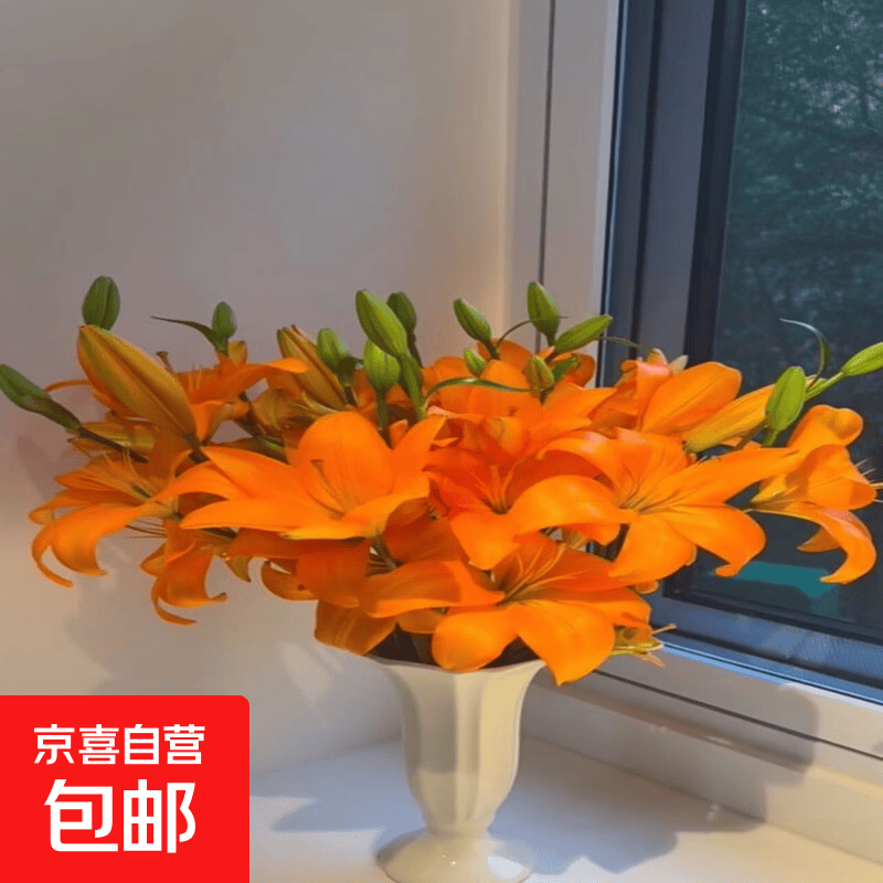 橙色梦想无香亚百合鲜花居家水养插花送人云南基地直发 橙色梦想亚百合花6朵+保鲜剂