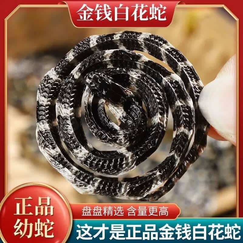 同仁堂(TRT)甄选金钱白花幼蛇中药材正品白花蛇祛湿通络活血散瘀泡酒料 甄选白花蛇-批发专用 4条*3袋