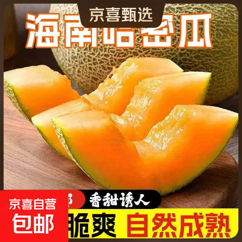 海南哈密瓜  脆甜多汁软糯香甜蜜西州密瓜 新鲜采摘应季生鲜水果 海南哈密瓜带箱5-6斤（2-3个）
