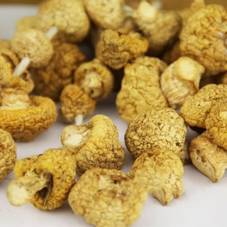 黄蘑菇野生天然祁连甘肃焉支山丁丁香菇干货煲汤皇菇钉子菇500g 500克