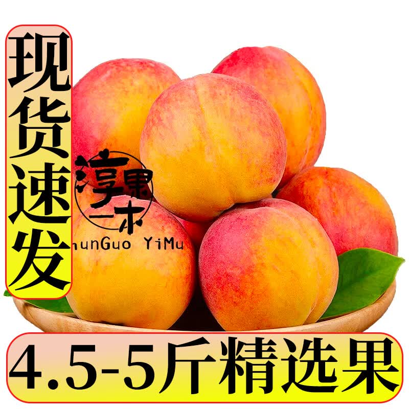 淳果一木 新鲜黄桃 黄毛桃子彩虹黄桃水黄金桃蜜子桃 当季应季水果 精选果 5斤（净重4.5-5斤）