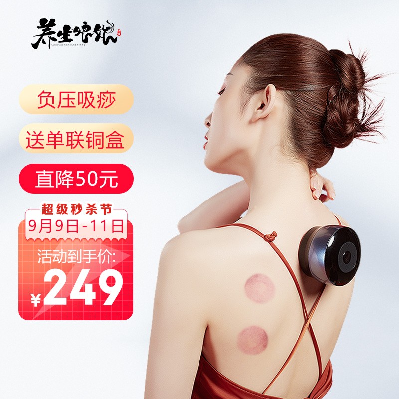 养生娘娘砭石电动刮痧仪器-历史价格抢先看
