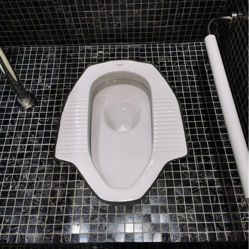 toto蹲便器cw7/cw8蹲坑大便器节水防臭蹲厕带前挡水酒店 cw8rb蹲便器