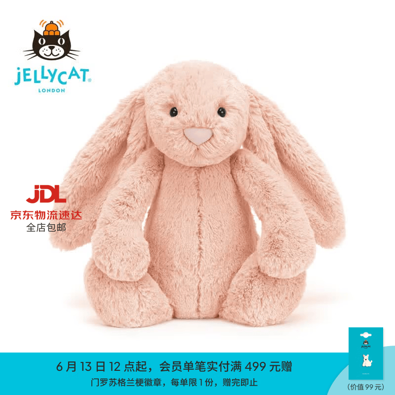 Jellycat害羞胭脂粉色邦尼兔柔软舒适动物毛绒玩偶儿童送礼生日礼物 害羞胭脂粉色邦尼兔 Medium