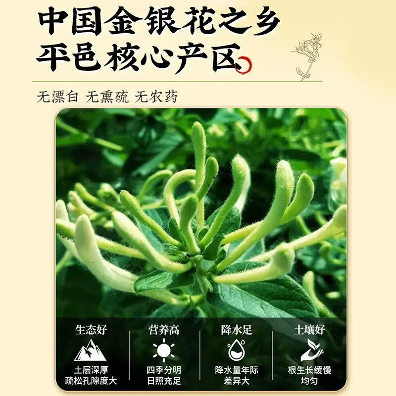 同仁堂（TRT）金银花茶级搭菊花中材煮泡水清热解毒下降去火养生凉茶 (人工挑选)级金银花 250g*1罐