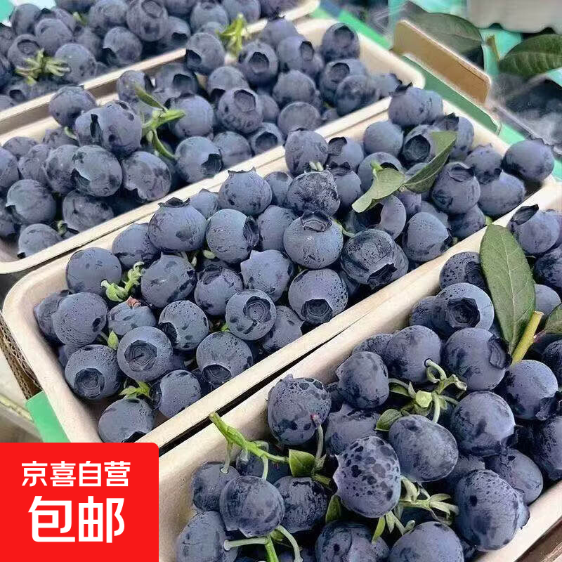 云南蓝莓【JD多地次日达】超大果花香蓝莓新鲜水果整盒送礼品礼物 6盒 越多越划算【100g-125g/盒】 品质果【单果12mm+】