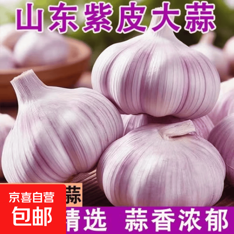 【高品质】大蒜头批发干蒜紫皮大蒜头干蒜特大新鲜大蒜批发价包邮 山东大蒜5斤