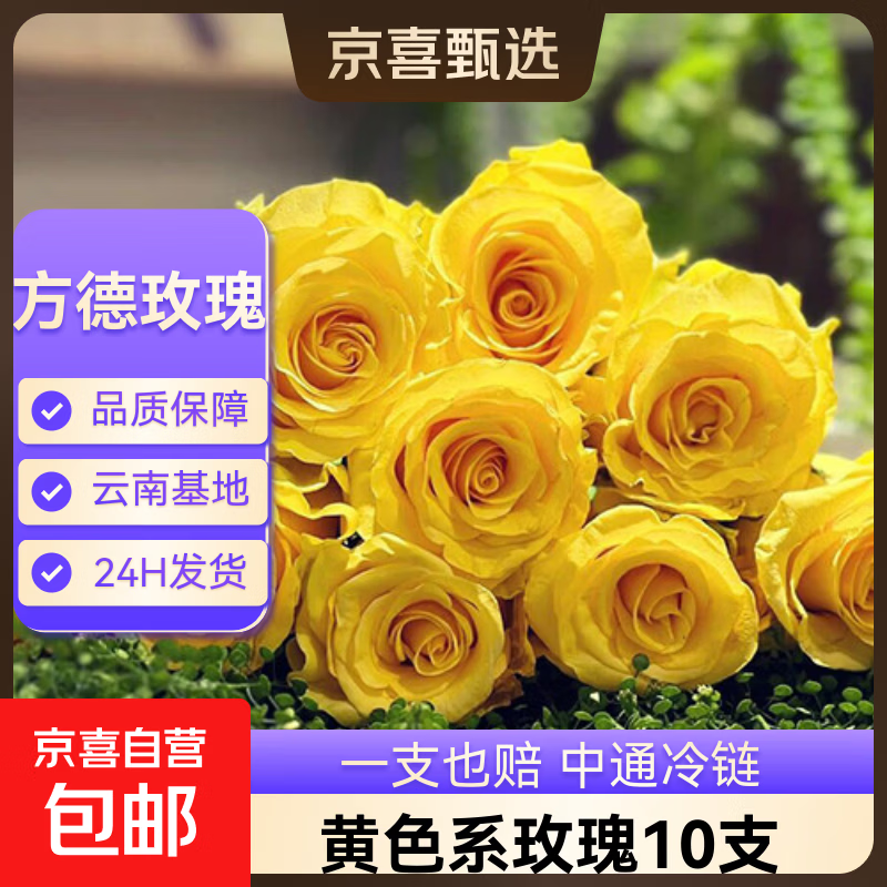【方德玫瑰】云南鲜花基地直发玫瑰花鲜切38妇女节女神节生日礼物 方德35-40cm黄色系10支