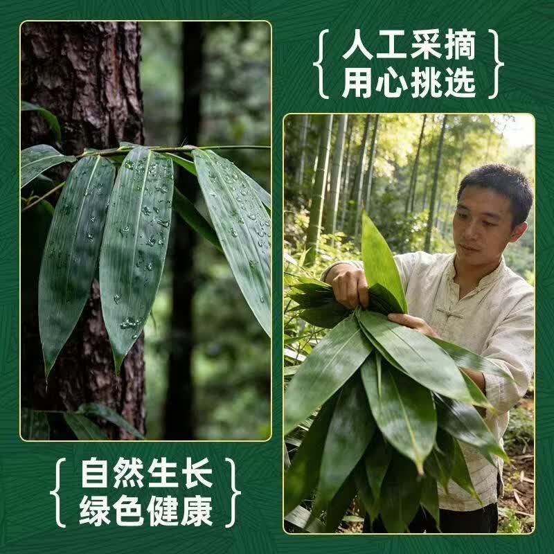 协穆深山新鲜粽叶子真空锁鲜叶片柔韧新手自制端午节包粽子食材送棉绳 特大鲜粽叶实惠装【共200片】 50片*4袋