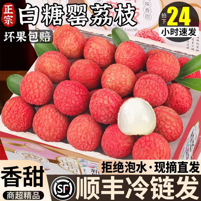 RONGXIAN广东高州白糖罂荔枝【京东顺丰多地次日达】茂名荔枝现摘现发送礼 3斤【超值推荐-80%选择】净重2.5斤 【甜】精选尝鲜果丨单果18g+