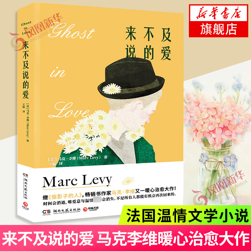 来不及说的爱 马克李维著 继偷影子的人后又一暖心大作 湖南文艺出版社 法国温情爱情亲情小说 外国