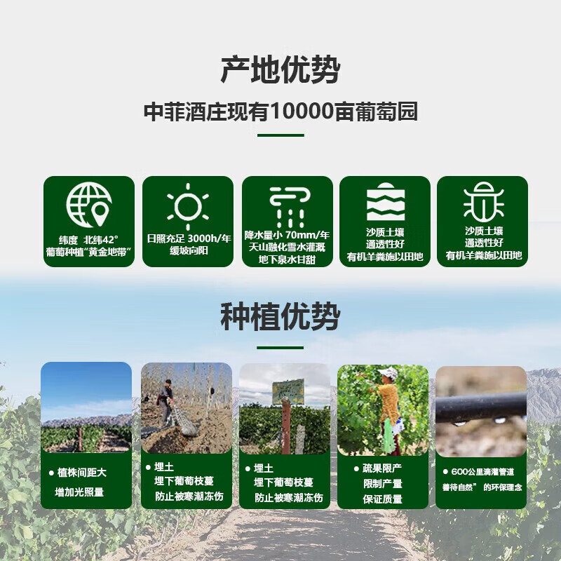 中菲酒庄礼物送礼 尊享干红葡萄酒橡木桶陈酿12个月红酒礼盒装750ml 尊享西拉干红