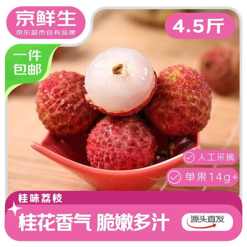 京鲜生广东桂味荔枝 净重4.5斤 单果14g+新鲜水果 源头直发包邮