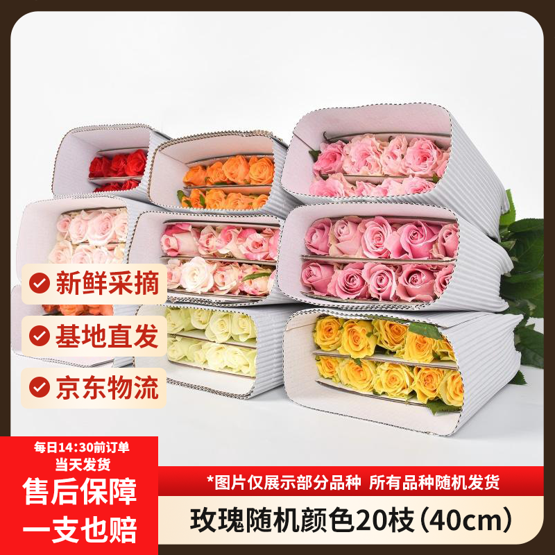 京东鲜花随机玫瑰20枝40cm(1-2配色)起鲜切花节日基地新鲜现采源头直发