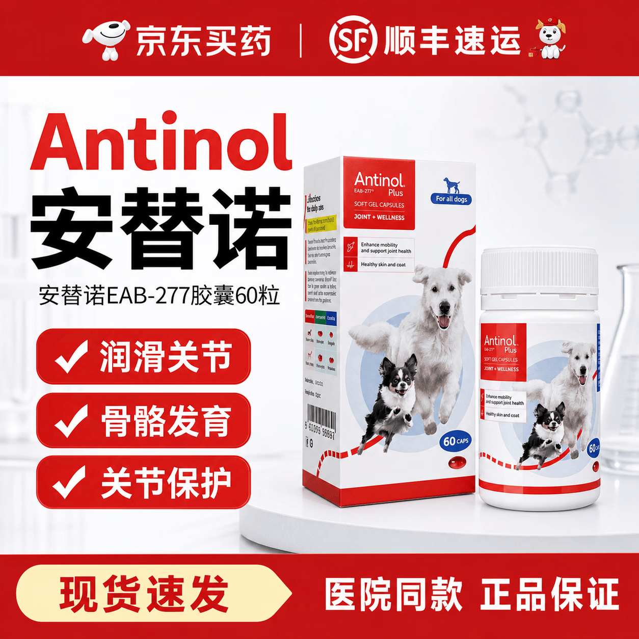 安它诺(ANTINOL)安替诺Antinol277宠物软骨素猫狗关节保护消炎止痛新西兰进口骨骼 安替诺 60粒*2瓶 【官方授权-防伪可查】