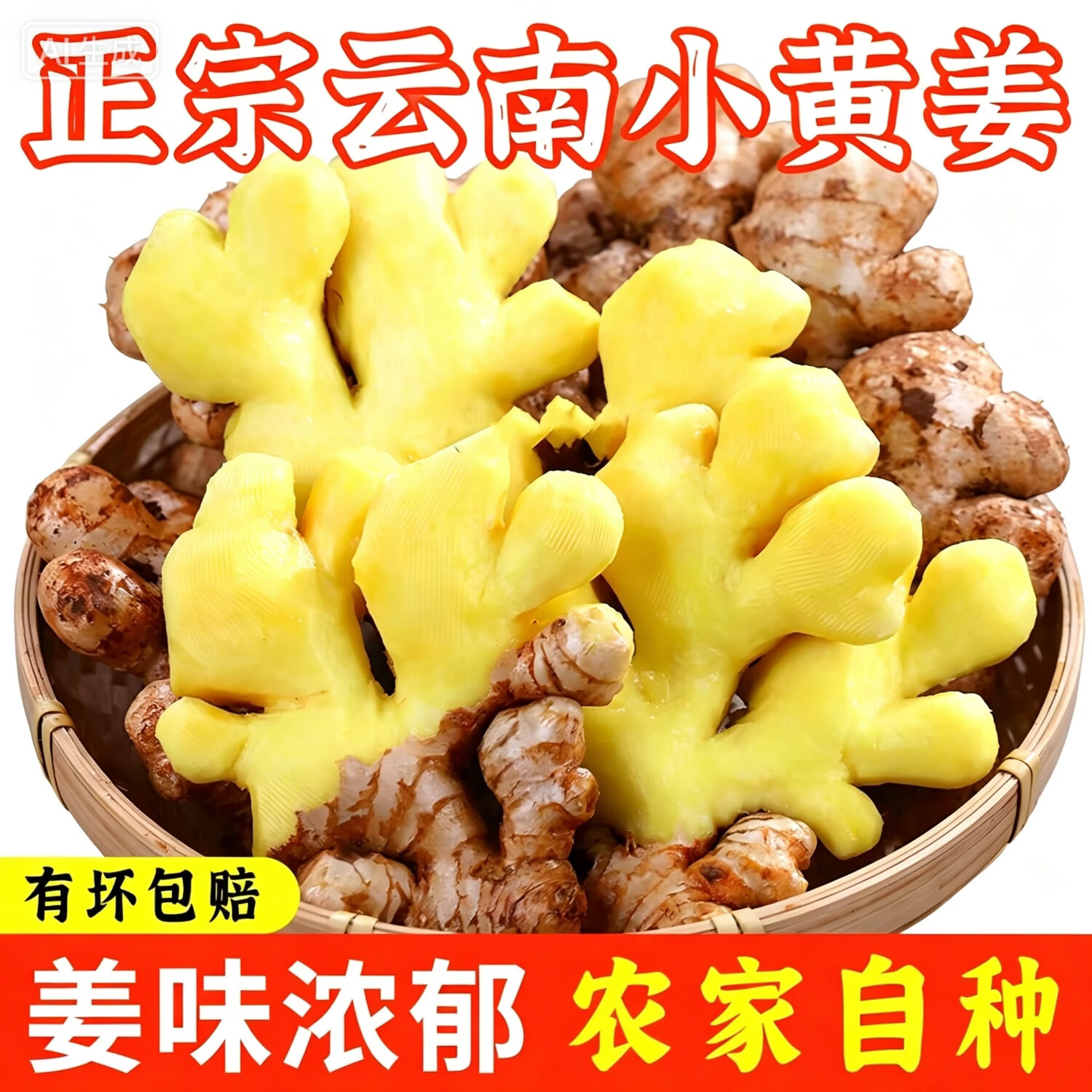 云南正宗小黄姜农家自种两年老姜月子姜姜种 9斤 京东折扣/优惠券